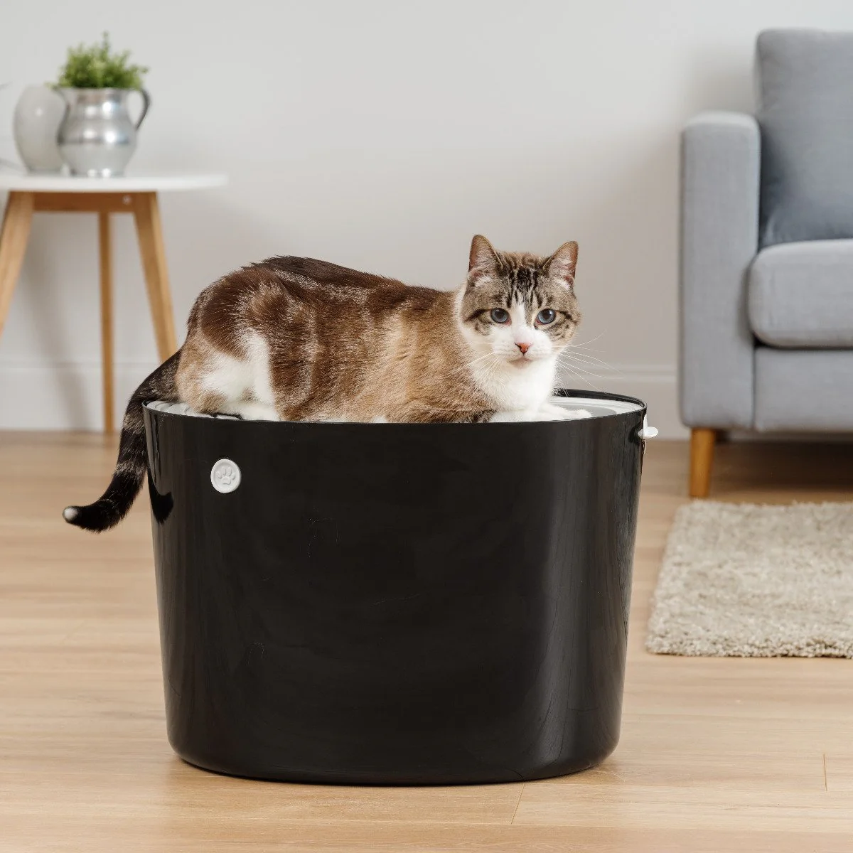 Product image 26