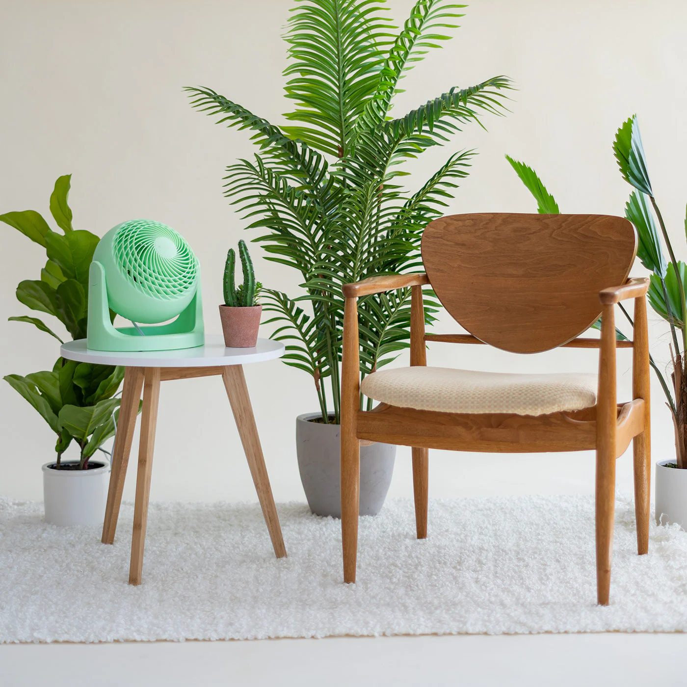 Product image 48